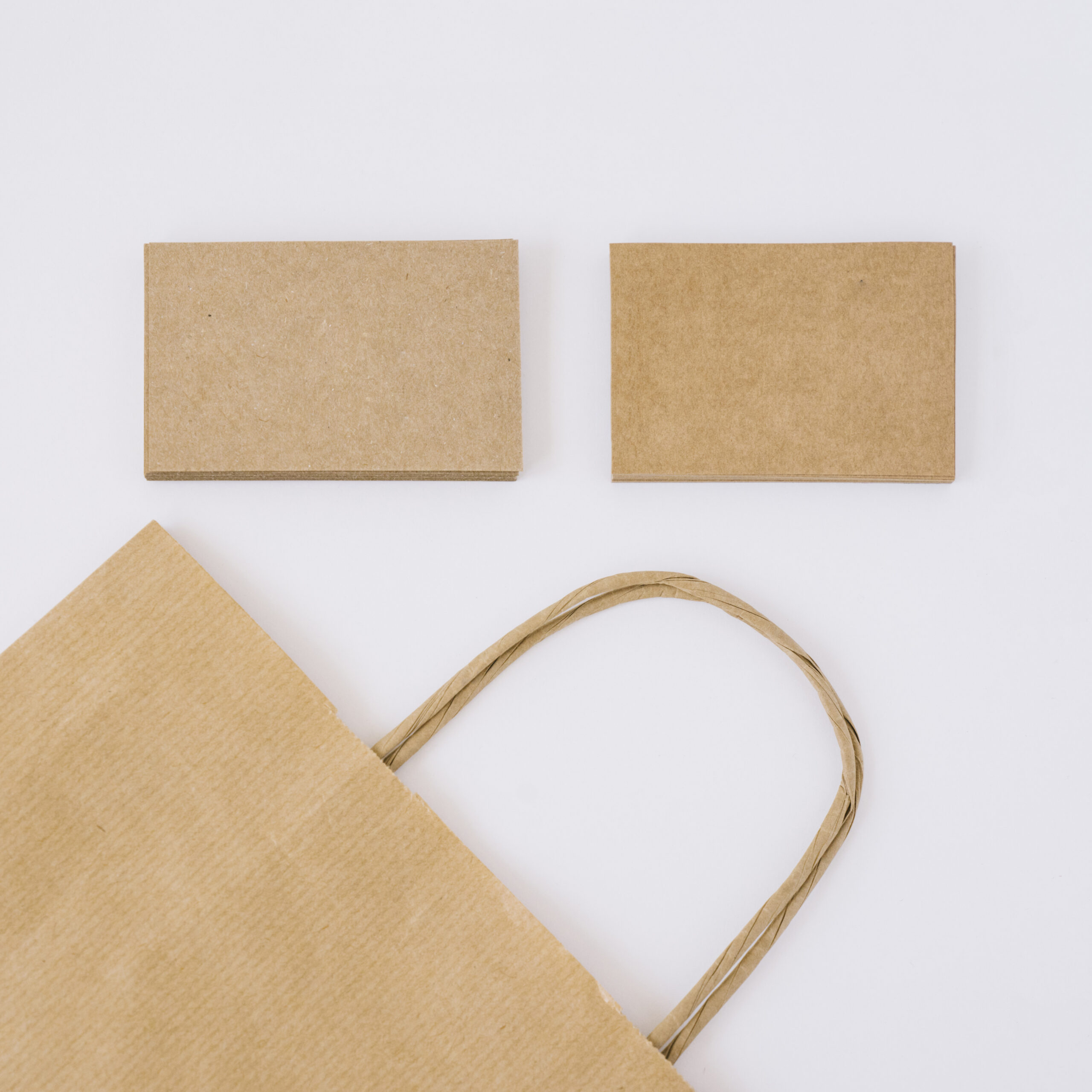 Twisted Paper Handle Bag (Brown)