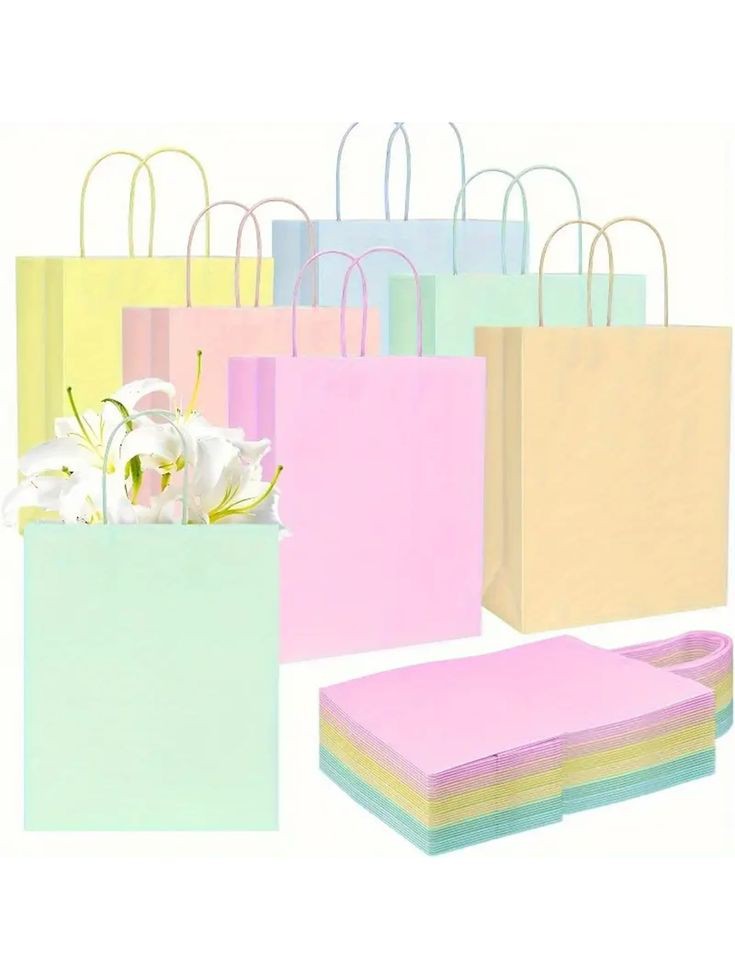 Premium Paper Bags