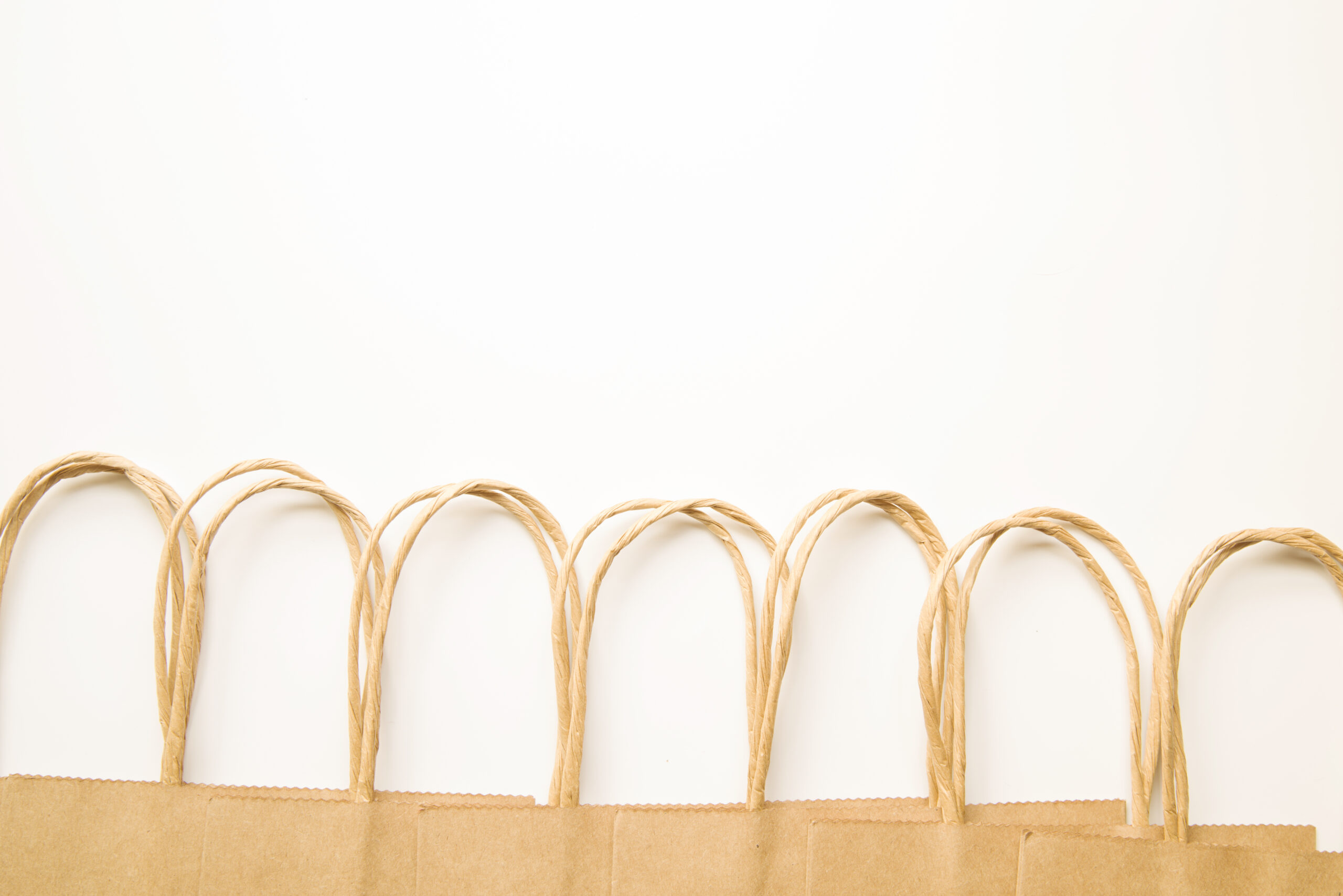 Twisted Paper Handle Bag (Brown)