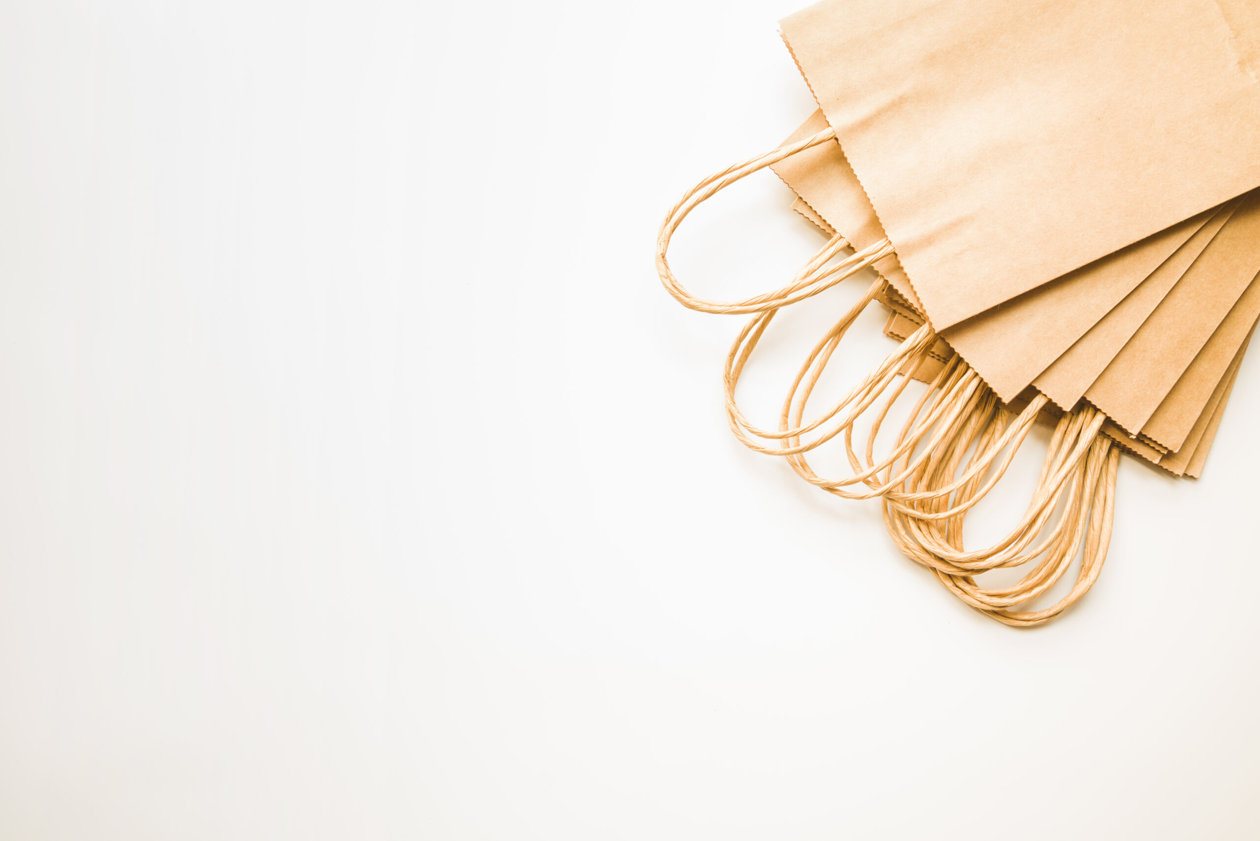 Twisted Paper Handle Bag (Brown)