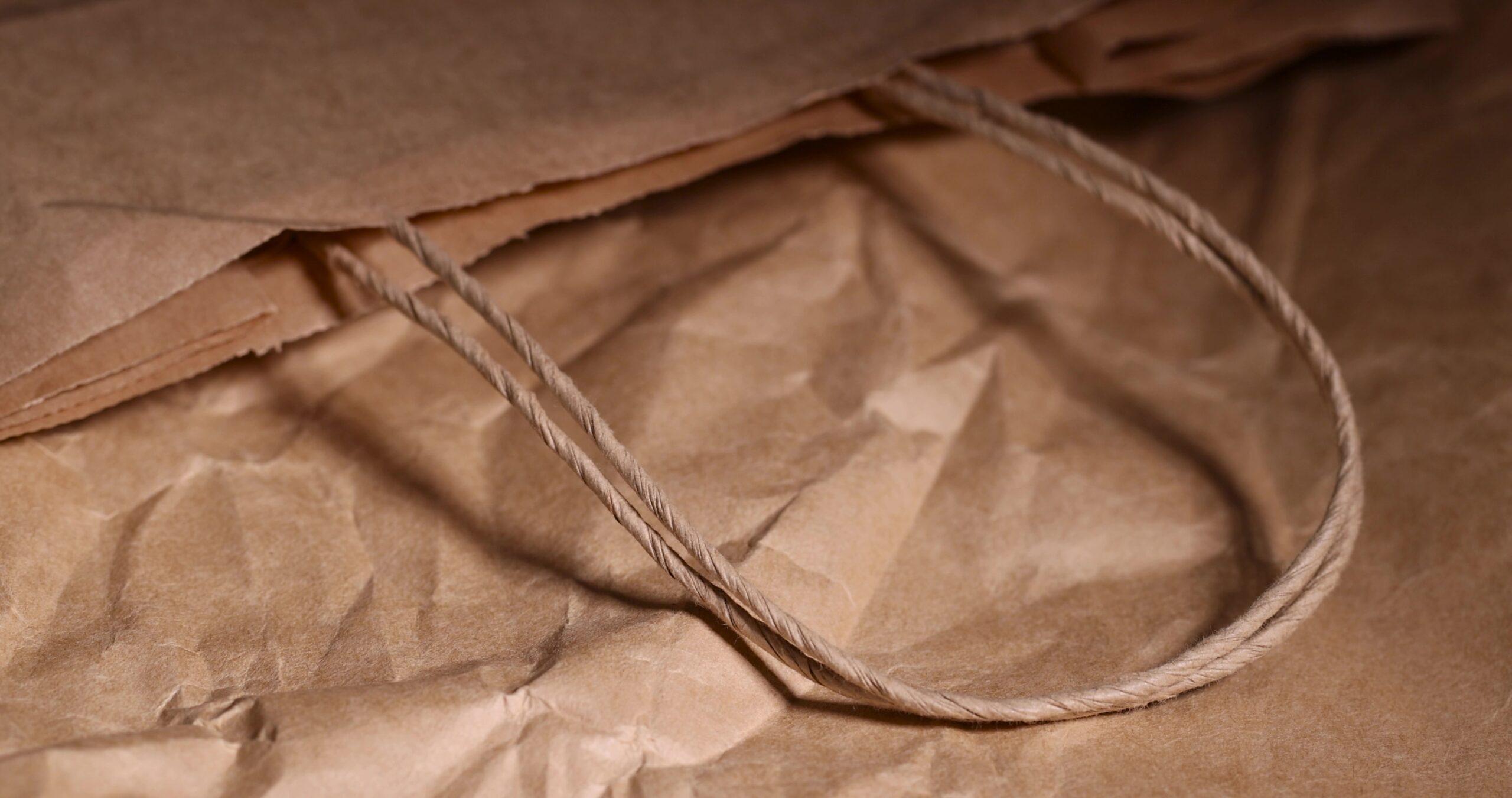 Twisted Paper Bags