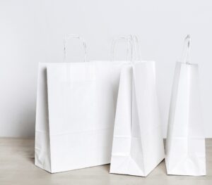 Premium Paper Bag (White)